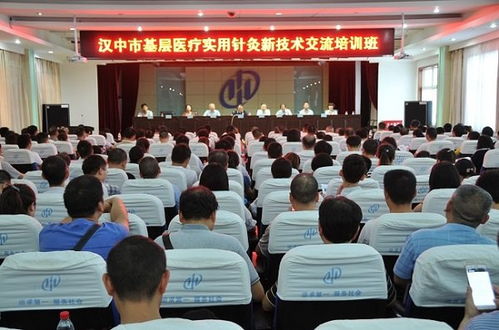 科技賦能針灸傳承 安軍明主任參與全市基層醫(yī)療實用針灸新技術(shù)交流培訓(xùn)班